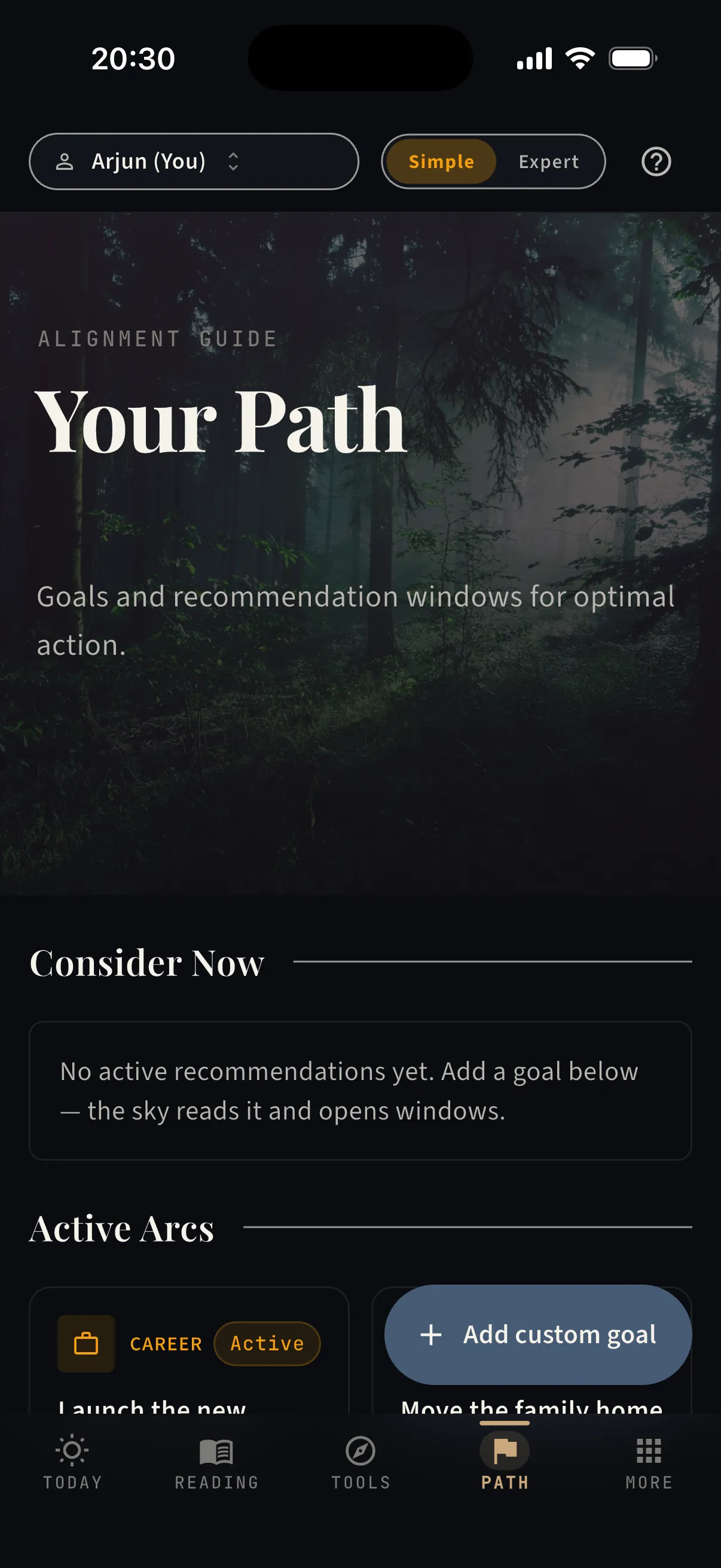Path — your goals, with windows to act — real capture from the app